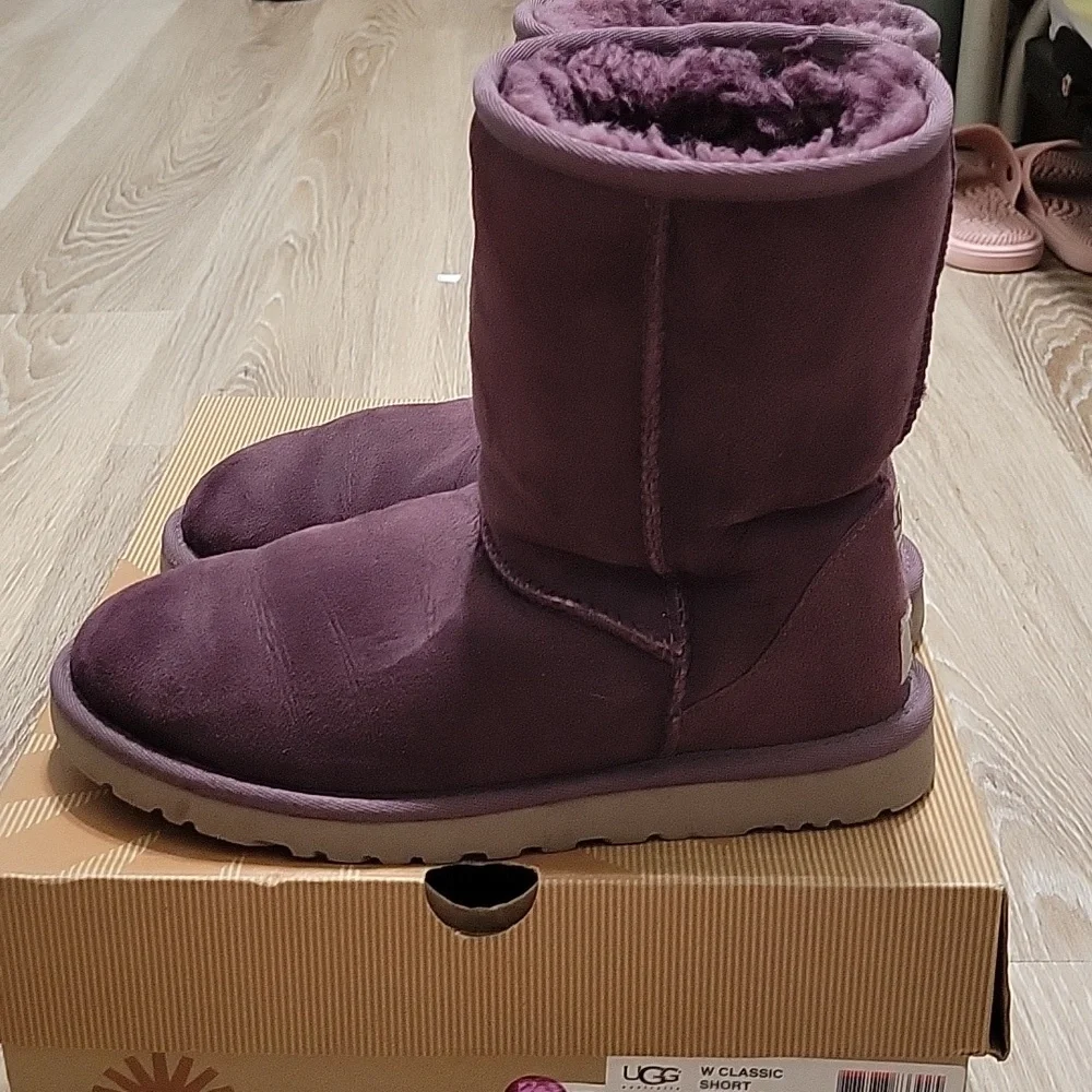 Classic UGG short - Picture 4 of 7